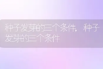 种子发芽的三个条件