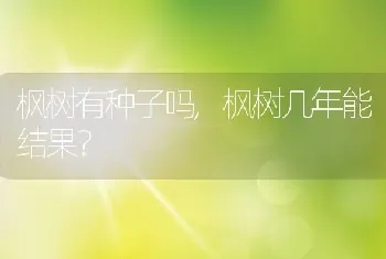 枫树几年能结果