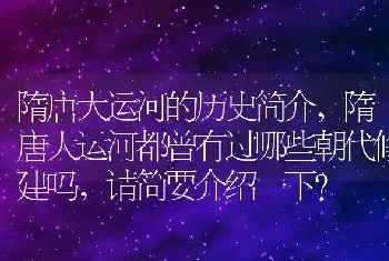 隋唐大运河都曾有过哪些朝代修建吗