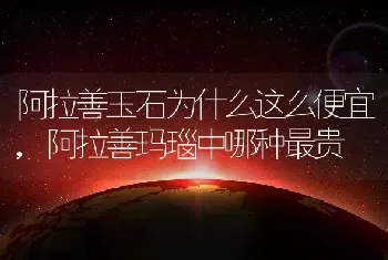 阿拉善玉石为什么这么便宜