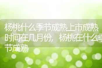 杨桃什么季节成熟上市成熟时间在几月份