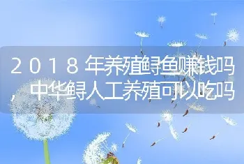 2018年养殖鲟鱼赚钱吗