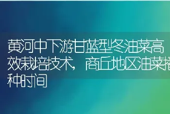 黄河中下游甘蓝型冬油菜高效栽培技术