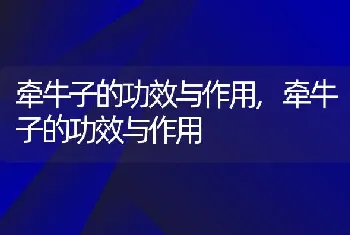 油菜花、菊花、梨花、玫瑰花、桃花、丝瓜花哪些是完全花