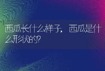 西瓜是什么形状的