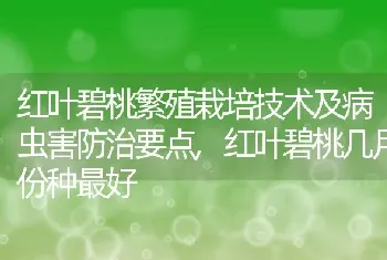 红叶碧桃繁殖栽培技术及病虫害防治要点