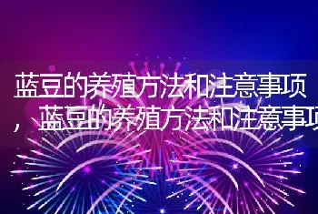 蓝豆的养殖方法和注意事项