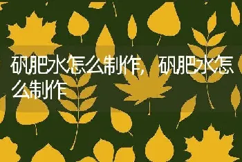 矾肥水怎么制作