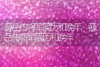 薛岳传将军简历和晚年