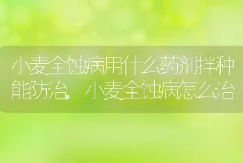 小麦全蚀病用什么药剂拌种能防治