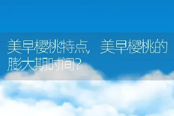 美早樱桃的膨大期时间