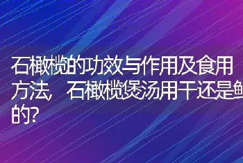 石橄榄煲汤用干还是鲜的