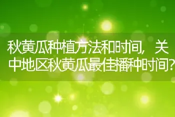 关中地区秋黄瓜最佳播种时间