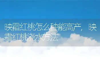 映霜红桃怎么种能高产