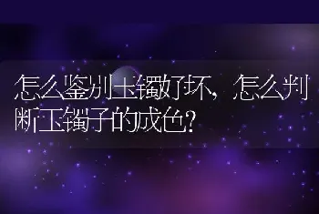 怎么判断玉镯子的成色