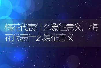 梅花代表什么象征意义