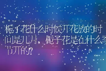 栀子花是在什么季节开的