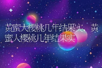 黄蜜大樱桃几年结果实