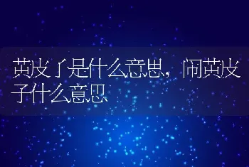 黄皮子是什么意思