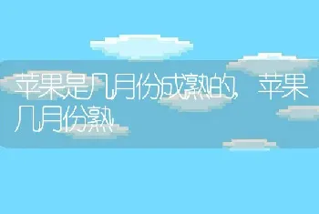 苹果是几月份成熟的