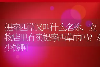 提摩西草又叫什么名称