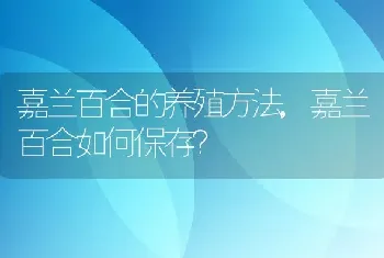 嘉兰百合如何保存