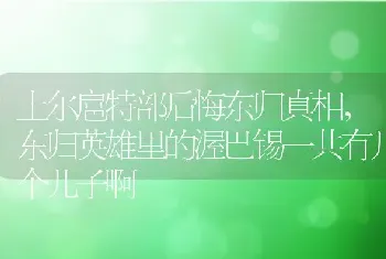 土尔扈特部后悔东归真相