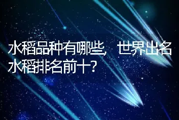 1975年驻马店特大洪灾属于自然灾难还是人为灾难