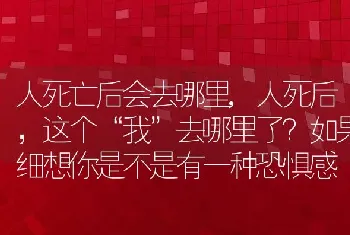 人死亡后会去哪里