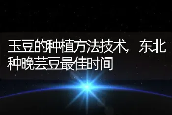 腰果的功效与作用及食用方法