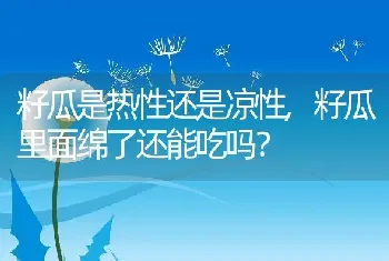 籽瓜里面绵了还能吃吗