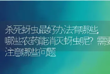 盘子里放的洋葱发芽了有害吗