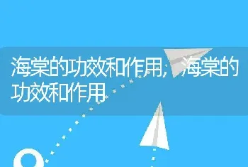 海棠的功效和作用