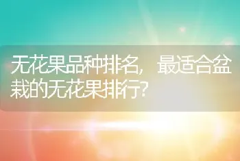 最适合盆栽的无花果排行