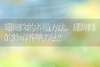 珊瑚珠的修剪养殖方法