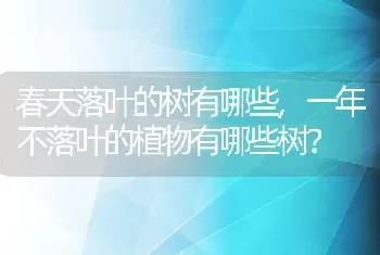 一年不落叶的植物有哪些树