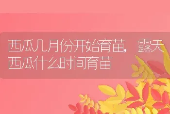 西瓜几月份开始育苗