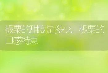 板栗的甜度是多少