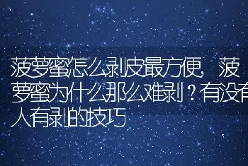 菠萝蜜为什么那么难剥有没有人有剥的技巧