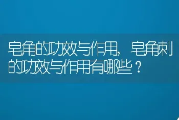 皂角刺的功效与作用有哪些