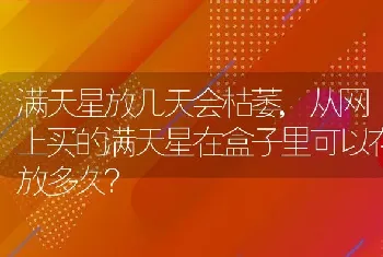 从网上买的满天星在盒子里可以存放多久