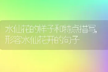 桔梗可以泡水喝吗