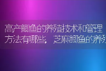 高产鲫鱼的养殖技术和管理方法有哪些