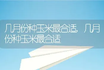 几月份种玉米最合适