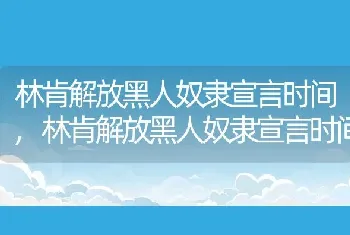 林肯解放黑人奴隶宣言时间