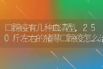 口蹄疫有几种血清型