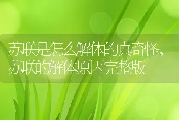 苏联是怎么解体的真奇怪