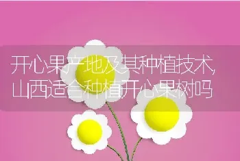 蜂蜜怎么挑选好吃的