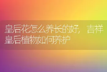 皇后花怎么养长的好