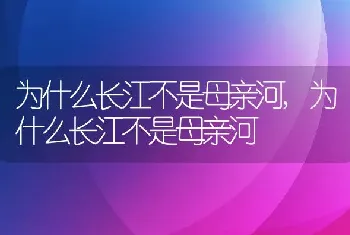 为什么长江不是母亲河